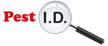 pest id logo